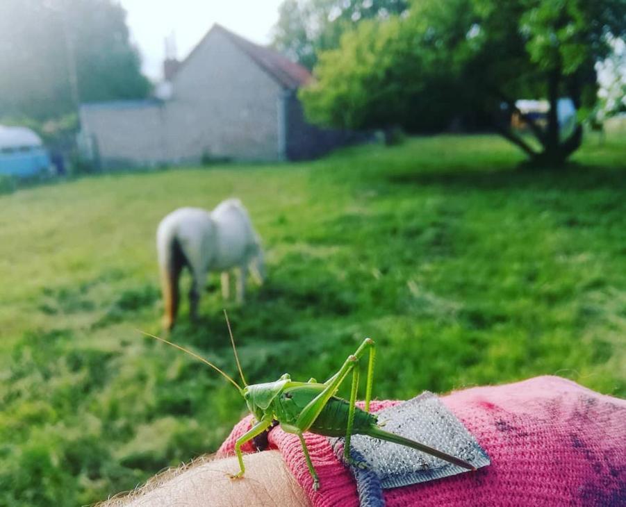 Maison De Campagne Dans Village De Nature Écourt-Saint-Quentin Exteriér fotografie